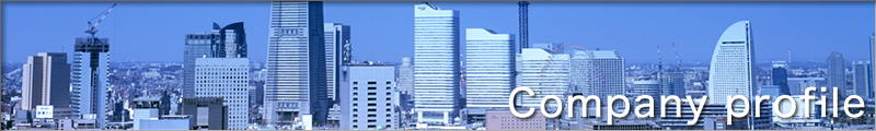 Company profile